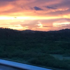 Meet your Posher, Nelly